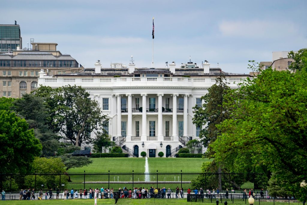 AI in Government